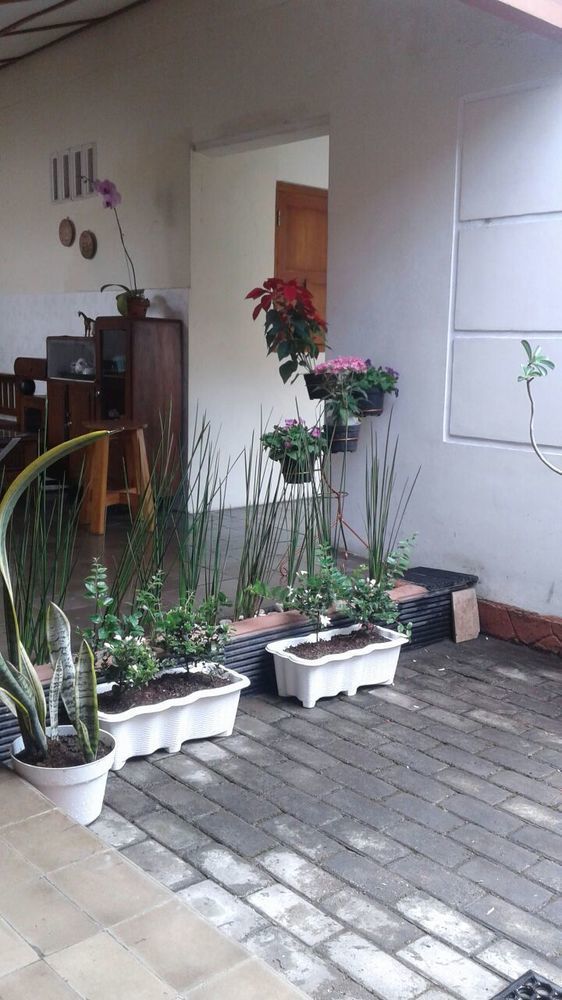 Pamularsih Homestay Yogyakarta Exterior foto